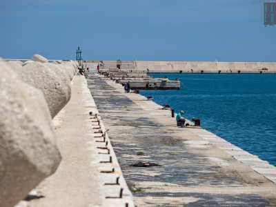 Sotto di noi invece si apre invece la banchina vera e propria, sulla quale hanno trovato posto pescatori di tutte le et� armati delle loro lunghe canne